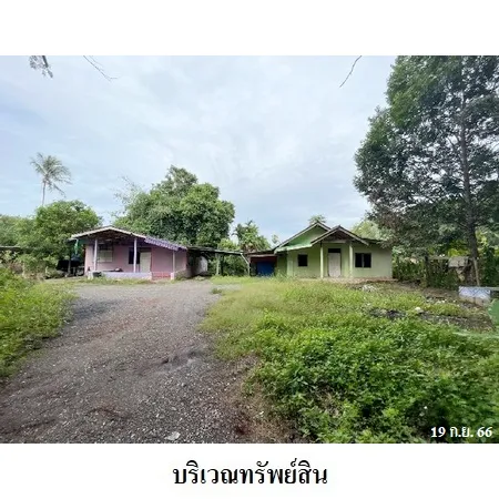 ทรัพย์ บสส. รหัส HL0009 บ้านเดี่ยว สุราษฎร์ธานี 1295000