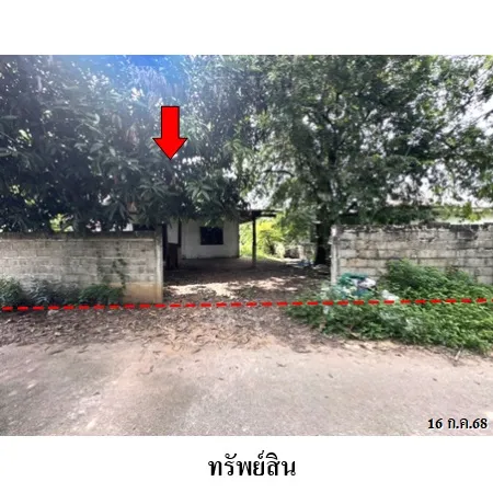 ทรัพย์ บสส. รหัส HL0036 บ้านเดี่ยว  ขอนแก่น 2024000