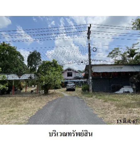 ทรัพย์ บสส. รหัส HL0185 บ้านเดี่ยว  พัทลุง 8185000