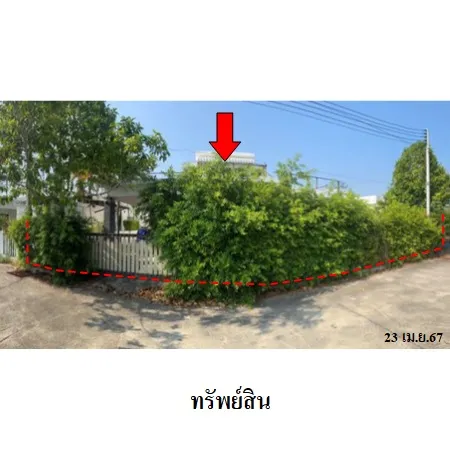 ทรัพย์ บสส. รหัส HL0231 บ้านเดี่ยว  ประจวบคีรีขันธ์ 3253000
