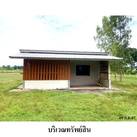 ทรัพย์ บสส. รหัส HL0376 ที่ดินเปล่า  บุรีรัมย์ 1254000