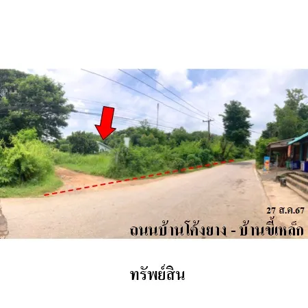 ทรัพย์ บสส. รหัส HL0477 ที่ดินเปล่า  ชัยภูมิ 3716000