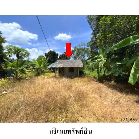 ทรัพย์ บสส. รหัส HL0500 บ้านเดี่ยว  กระบี่ 743000