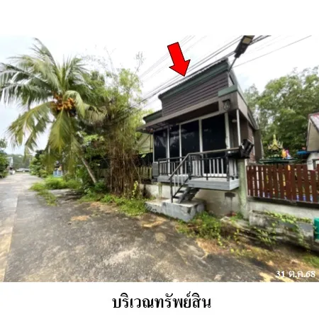 ทรัพย์ บสส. รหัส HL0523 บ้านเดี่ยว สุราษฎร์ธานี 1520000