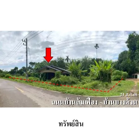 ทรัพย์ บสส. รหัส HL0633 บ้านเดี่ยว  ตรัง 1158000