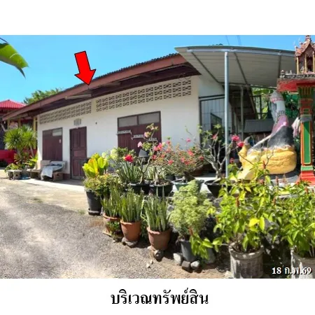 ทรัพย์ บสส. รหัส HL0673 บ้านเดี่ยว  ตรัง 1619000