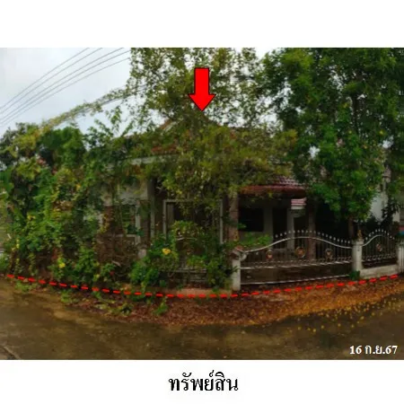 ทรัพย์ บสส. รหัส HL0820 บ้านเดี่ยว  สุราษฎร์ธานี 2497000