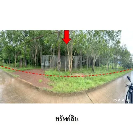 ทรัพย์ บสส. รหัส HL0823 บ้านเดี่ยว  นครพนม 5579000
