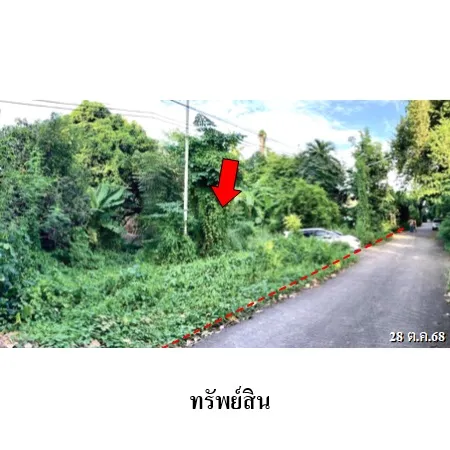 ทรัพย์ บสส. รหัส HL0890 ที่ดินเปล่า  พิษณุโลก 12748000