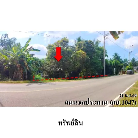 ทรัพย์ บสส. รหัส HL1033 บ้านเดี่ยว กระบี่ 1010000
