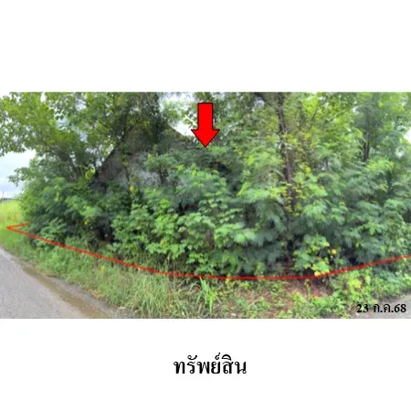 ทรัพย์ บสส. รหัส HTR014 บ้านเดี่ยว เชียงใหม่ 1229000
