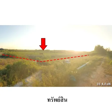 ทรัพย์ บสส. รหัส LL0001 ที่ดินเปล่า  เพชรบุรี 1169000