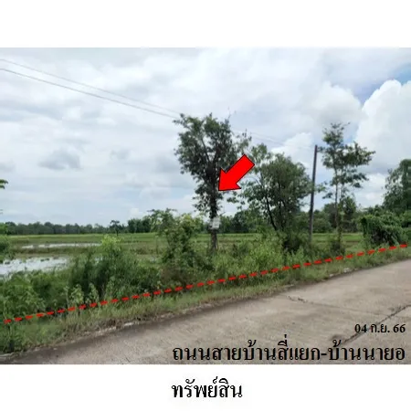 ทรัพย์ บสส. รหัส LL0006 ที่ดินเปล่า สกลนคร 1085000