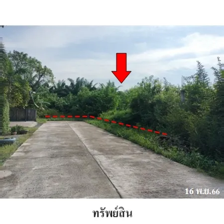 ทรัพย์ บสส. รหัส LL0011 ที่ดินเปล่า สุราษฎร์ธานี 1546000