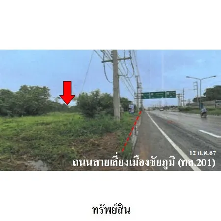ทรัพย์ บสส. รหัส LL0029 ที่ดินเปล่า  ชัยภูมิ 33381000