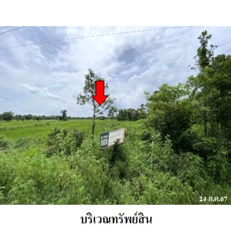 ทรัพย์ บสส. รหัส LL0046 ที่ดินเปล่า  สกลนคร 1324000