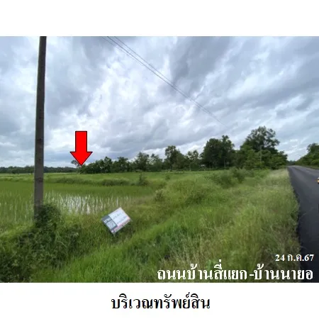 ทรัพย์ บสส. รหัส LL0048 ที่ดินเปล่า  สกลนคร 1120000