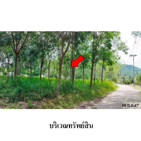 ทรัพย์ บสส. รหัส LL0051 ที่ดินเปล่า สุราษฎร์ธานี 6599000