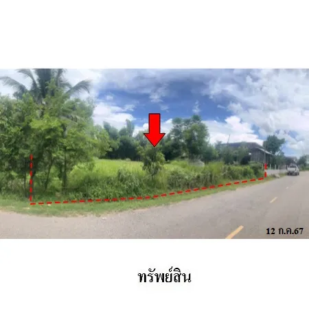 ทรัพย์ บสส. รหัส LL0069 ที่ดินเปล่า หนองบัวลำภู 717000