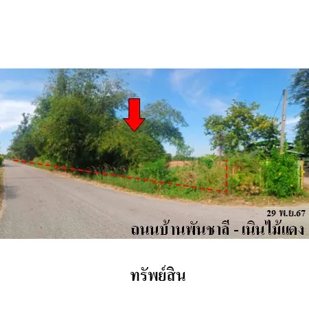 ทรัพย์ บสส. รหัส LL0073 ที่ดินเปล่า  พิษณุโลก 1252000
