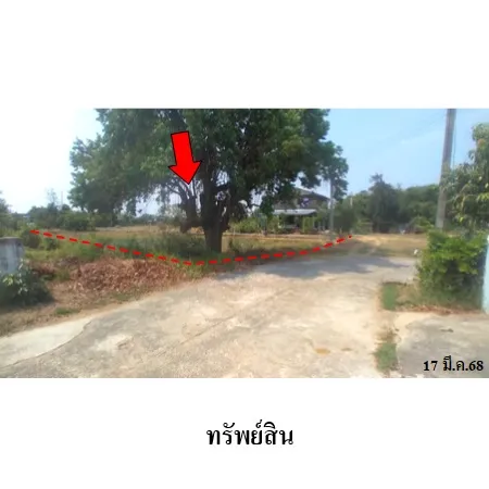 ทรัพย์ บสส. รหัส LL0078 ที่ดินเปล่า  สุรินทร์ 1539000
