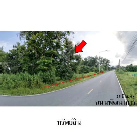 ทรัพย์ บสส. รหัส LL0081 ที่ดินเปล่า  นครศรีธรรมราช 10130000