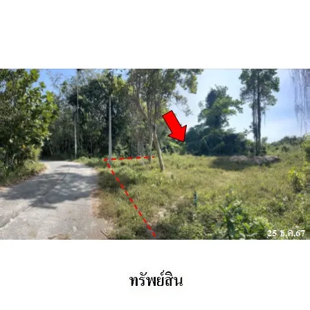 ทรัพย์ บสส. รหัส LL0084 ที่ดินเปล่า  ระยอง 14331000