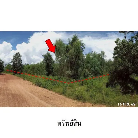 ทรัพย์ บสส. รหัส LL0096 ที่ดินเปล่า กาฬสินธุ์ 1754000