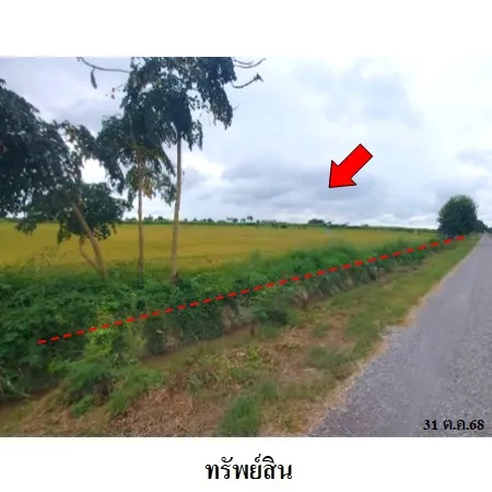 ทรัพย์ บสส. รหัส LL0097 ที่ดินเปล่า  สิงห์บุรี 5217000
