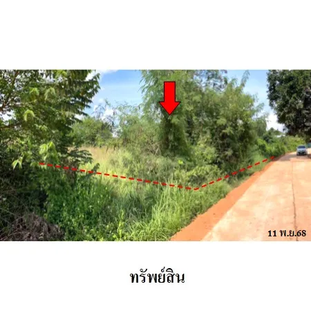 ทรัพย์ บสส. รหัส LL0102 ที่ดินเปล่า อุดรธานี 1030000