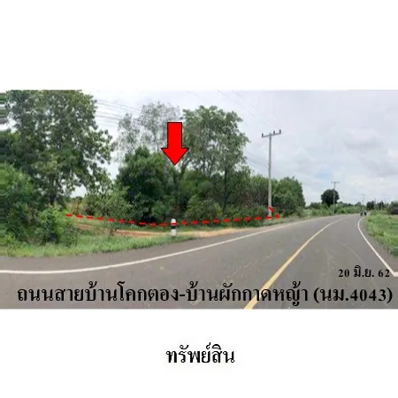 ทรัพย์ บสส. รหัส LL0103 ที่ดินเปล่า  บุรีรัมย์ 4012000