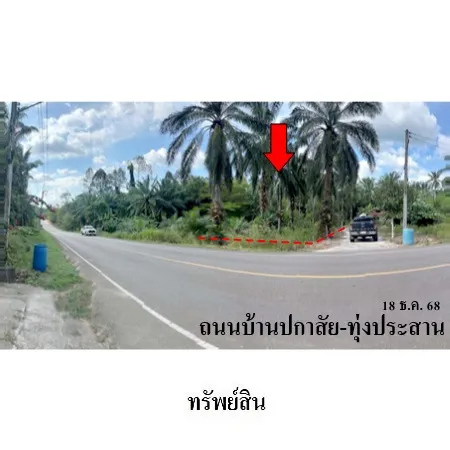 ทรัพย์ บสส. รหัส LL0112 ที่ดินเปล่า  กระบี่ 735000