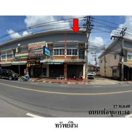 ทรัพย์ บสส. รหัส SL0225 อาคารพาณิชย์  สุราษฎร์ธานี 3003000