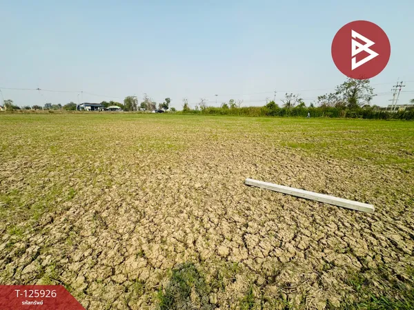 ขายที่ดิน เนื้อที่ 4 ไร่ 63 ตร.วา สองพี่น้อง สุพรรณบุรี