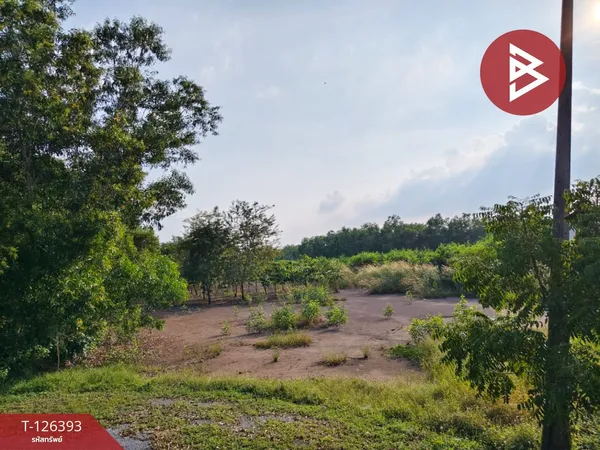 ขายด่วนที่ดิน เนื้อที่ 2 ไร่ 39 ตารางวา หมู่บ้านคันทรีการ์เด้น คลองสาม ปทุมธานี