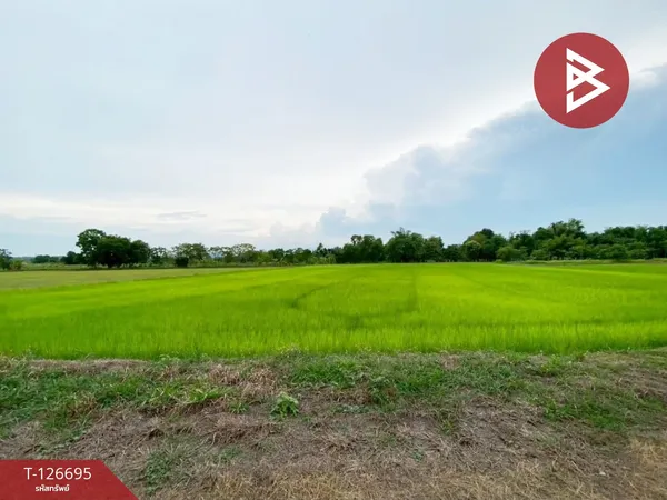 ขายที่ดิน เนื้อที่ 1 ไร่ 2 งาน หนองโน หนองโน