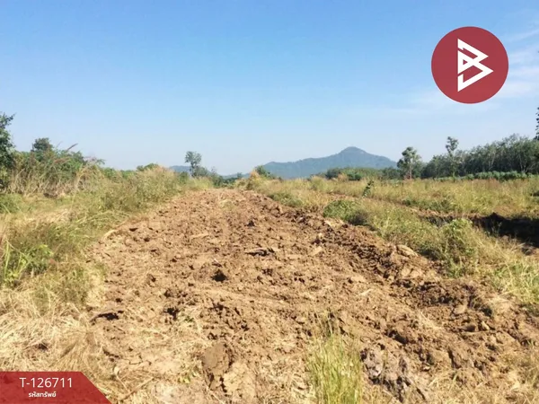 ขายที่ดินเปล่า เนื้อที่ 8 ไร่ 13 ตารางวา สอยดาว จันทบุรี