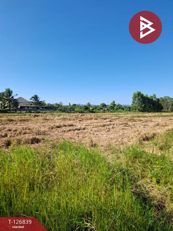 ขายที่ดินเปล่า เนื้อที่ 6 ไร่ 1 งาน 57 ตารางวา ขุนตาล เชียงราย