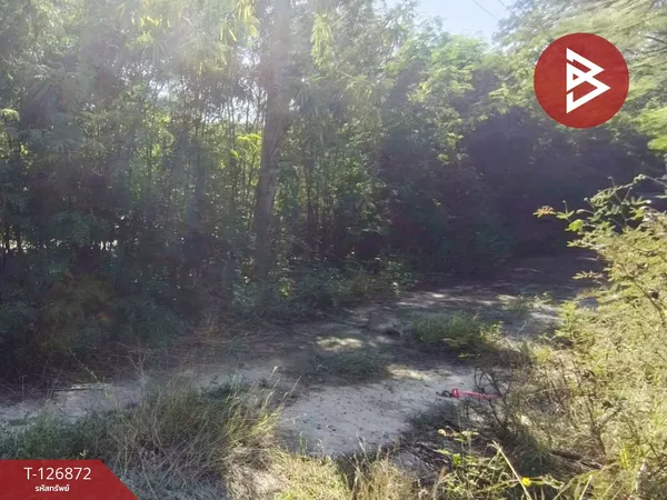 ขายที่ดิน เนื้อที่ 2 งาน บางเลน นครปฐม