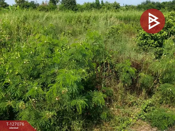 ขายที่ดิน เนื้อที่ 134 ตารางวา ต.บางเลน จ.นครปฐม