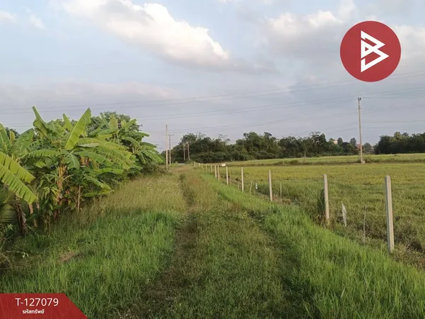 ขายที่ดิน เนื้อที่ 3 ไร่ 1 งาน 38 ตร.วา เขาย้อย เพชรบุรี