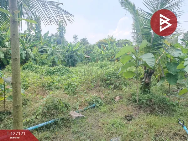 ขายที่ดิน เนื้อที่ 3 งาน 26 ตารางวา พร้อมต้นสัก บ้านยาง นครปฐม