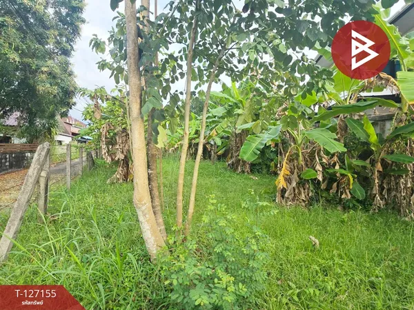 ขายที่ดิน เนื้อที่ 79 ตารางวา อ.ขลุง จันทบุรี