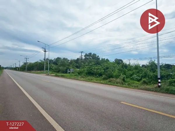 ขายที่ดิน เนื้อที่ 81 ไร่ 3 งาน 82 ตร.วา นายายอาม จันทบุรี