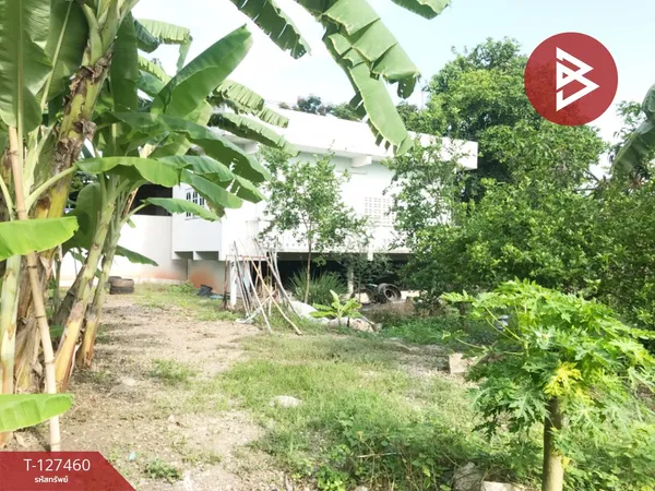 ขายที่ดิน เนื้อที่ 1 งาน 65 ตร.วา บางคนที สมุทรสงคราม