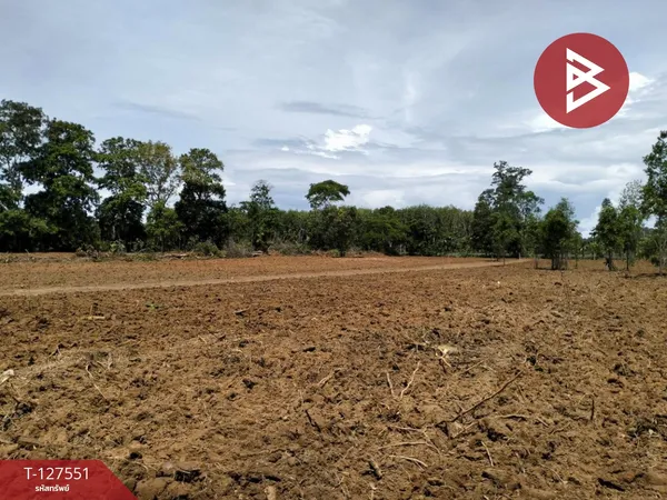 ขายที่ดิน เนื้อที่ 10 ไร่ 96 ตร.วา เขาสมิง ตราด