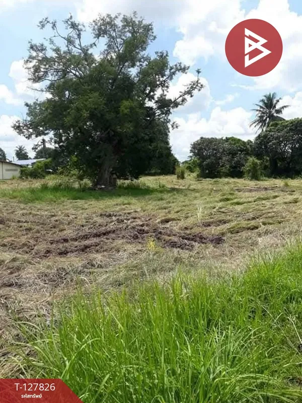 ขายที่ดิน เนื้อที่ 1 ไร่ บ้านบึง ชลบุรี