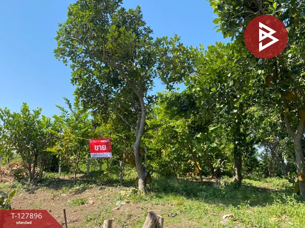 ขายที่ดินสวนผลไม้ เนื้อที่ 2 งาน อ.ท่าเรือ พระนครศรีอยุธยา