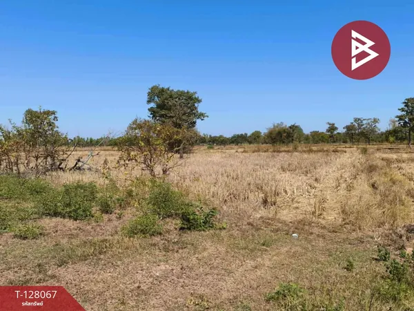 ขายที่ดิน เนื้อที่ 7 ไร่ 21 ตร.วา กุสุมาลย์ สกลนคร