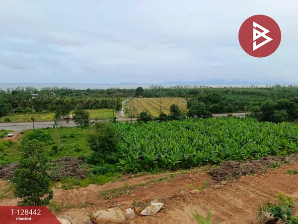 ขายที่ดิน เนื้อที่ 9 ไร่ 2 งาน 87 ตร.วา แหลมกลัด ตราด